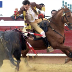 Fauro Aloi pierde al caballo “Manili”